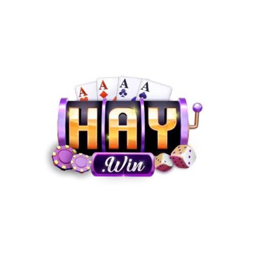 Haywin – Nhà cái uy tín hàng đầu cho trải nghiệm cá cược đỉnh cao